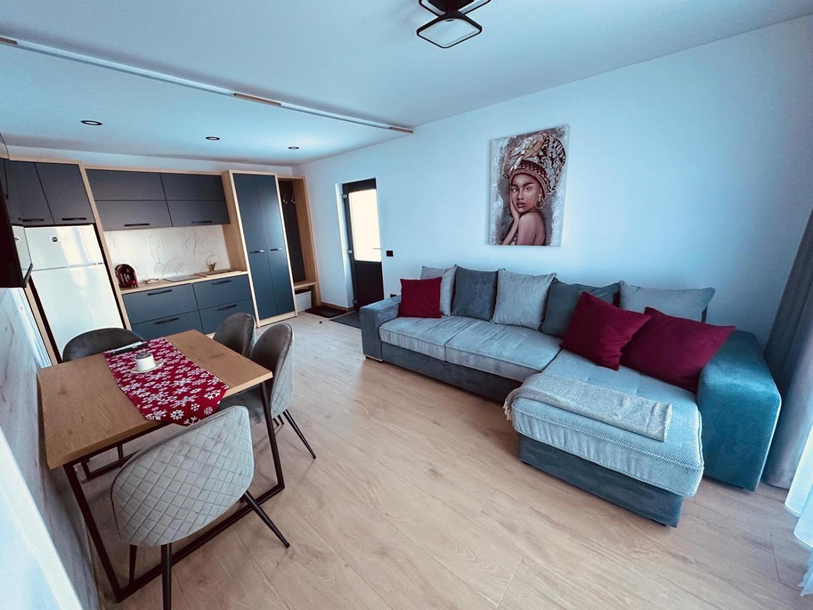 Panoramic Residence Borşa Eksteriør billede