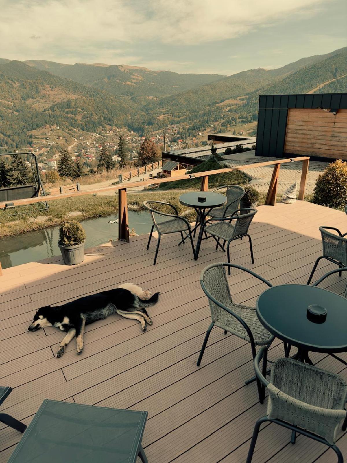 Panoramic Residence Borşa Eksteriør billede